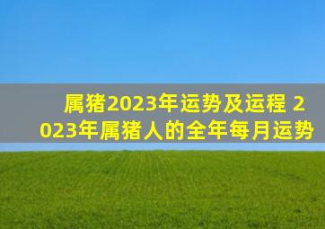 属猪2023年运势及运程 2023年属猪人的全年每月运势